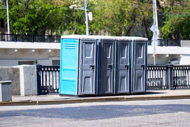 Best Sanitation services for porta potties  in Chena Ridge, AK